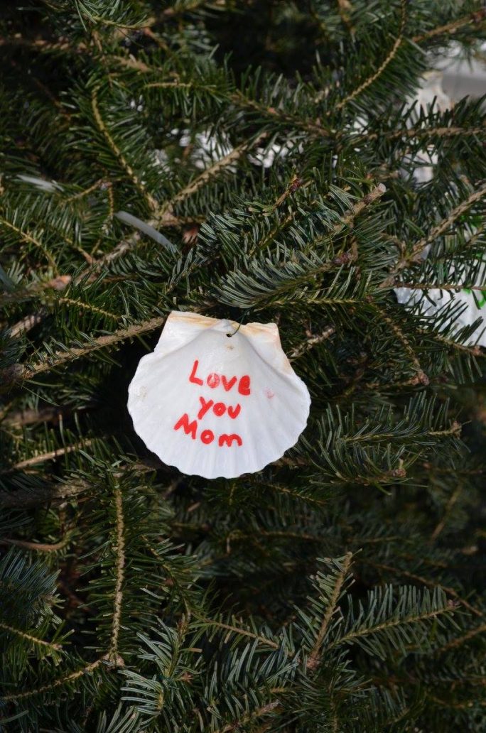 a close up photo of a christmas tree with a seashell ornament with red lettering saying "love you mom"