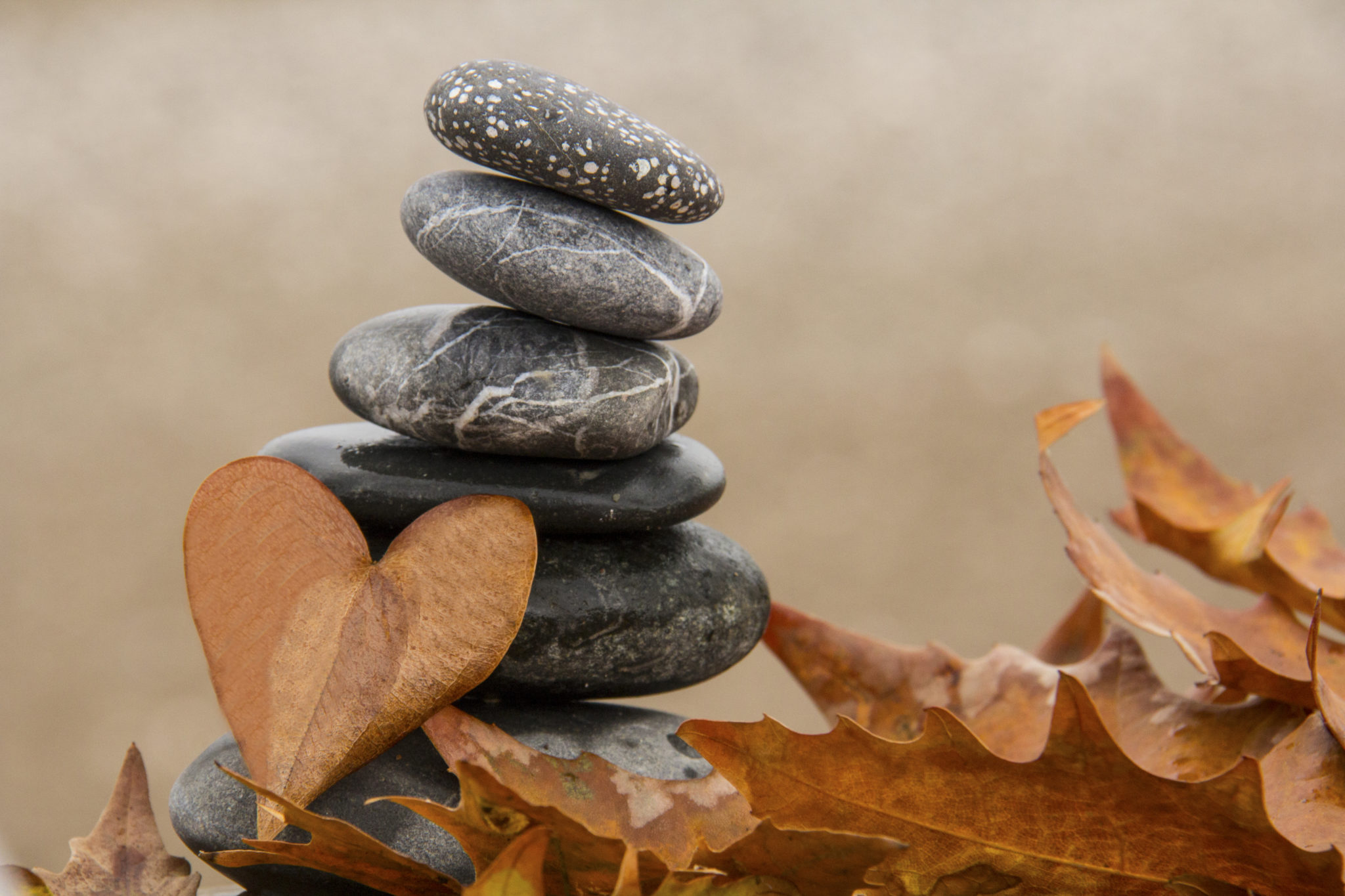 Heart Shape, Pebble, Stone - Object, Rock - Object, Backgrounds, Magnifier, autumn