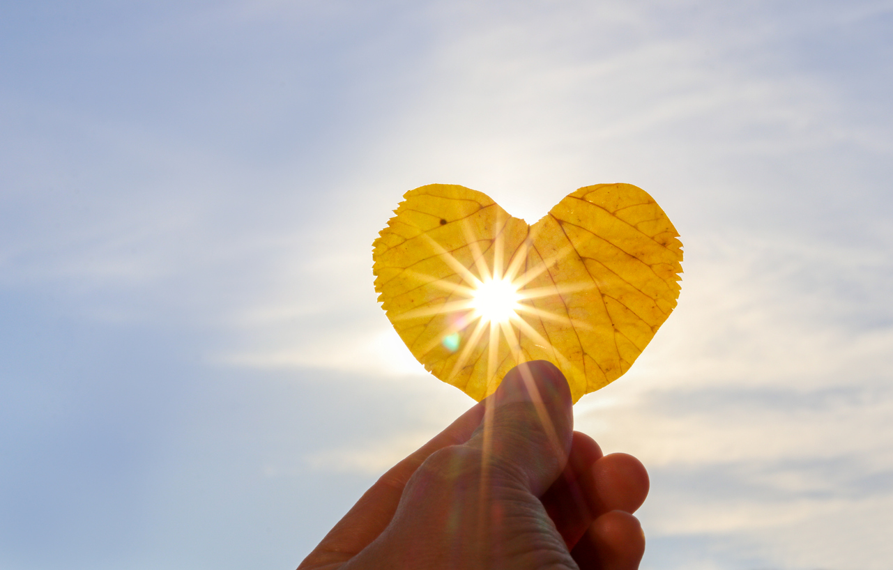 Close up shot of hand holding yellow leaf of heart shape with sun rays shining through it at light blue sky background. I love autumn concept.