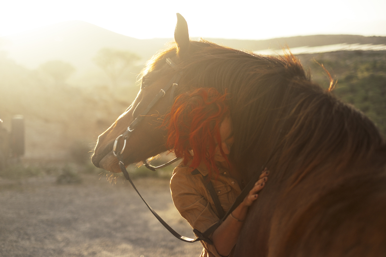 Love horse animal pet therapy red hair young pretty woman hug with affection her best friend - sunset sunlight in backlight - outdoor leisure activity and friendship concept