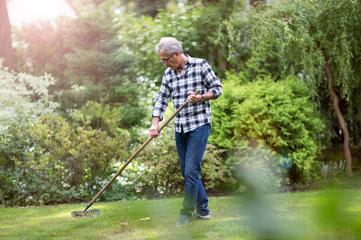 Senior man raking autumn leaves in backyard