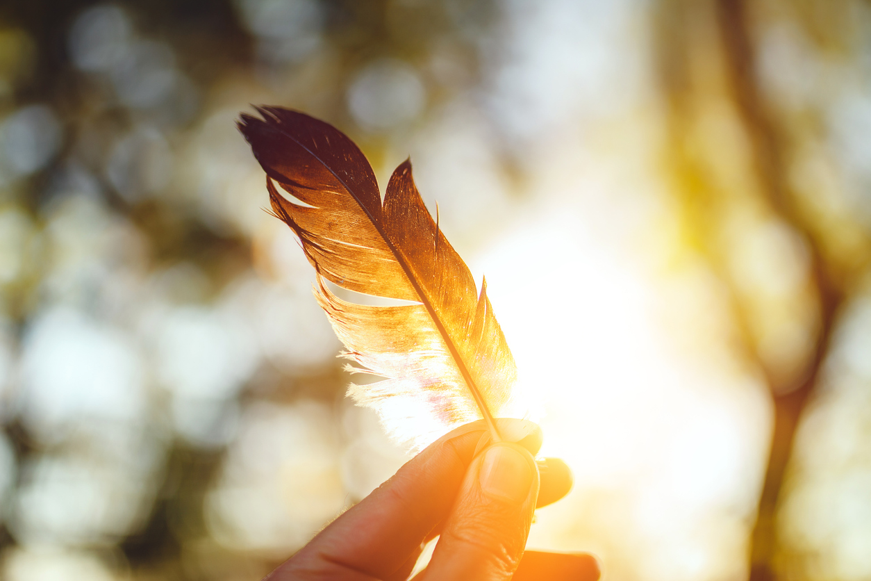 Feather and sunset