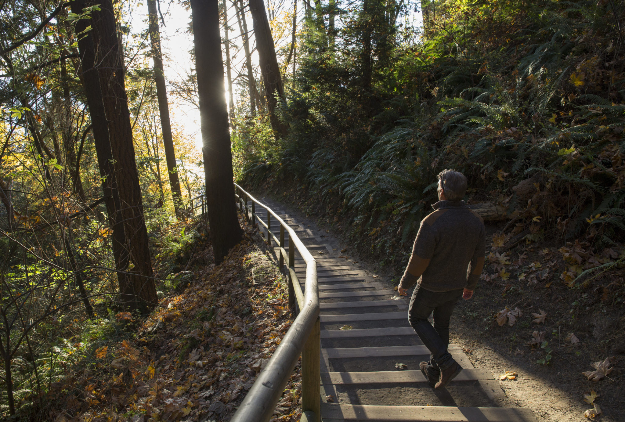 Man walks down steps through forest and into the sunlight, coping with grief and loss