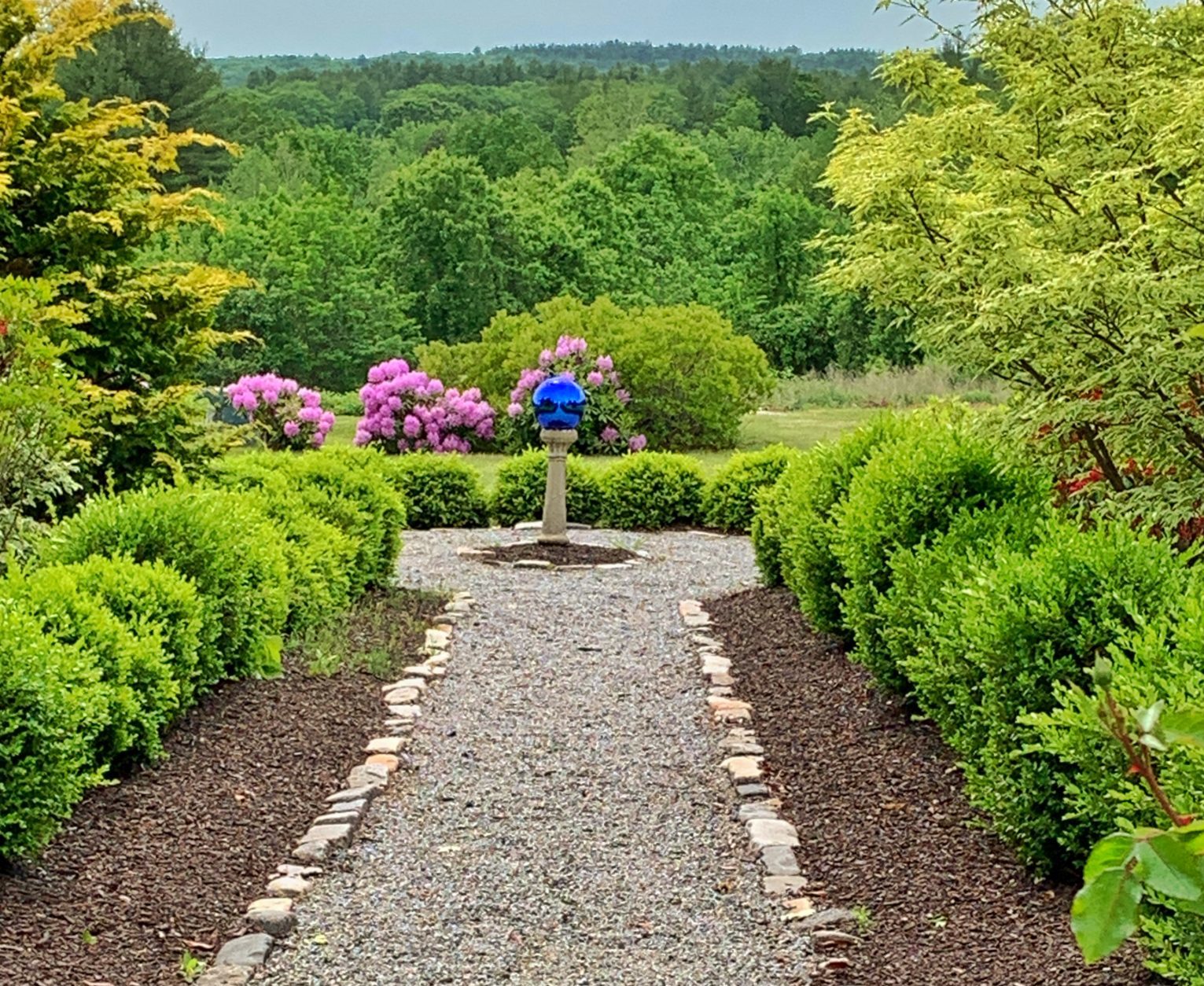 garden path with greenery on either side of the path