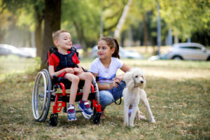 Cute Caucasian boy in wheelchair playing with his sister and dog in the park