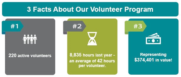 gt infographic infographic - stats on volunteer program