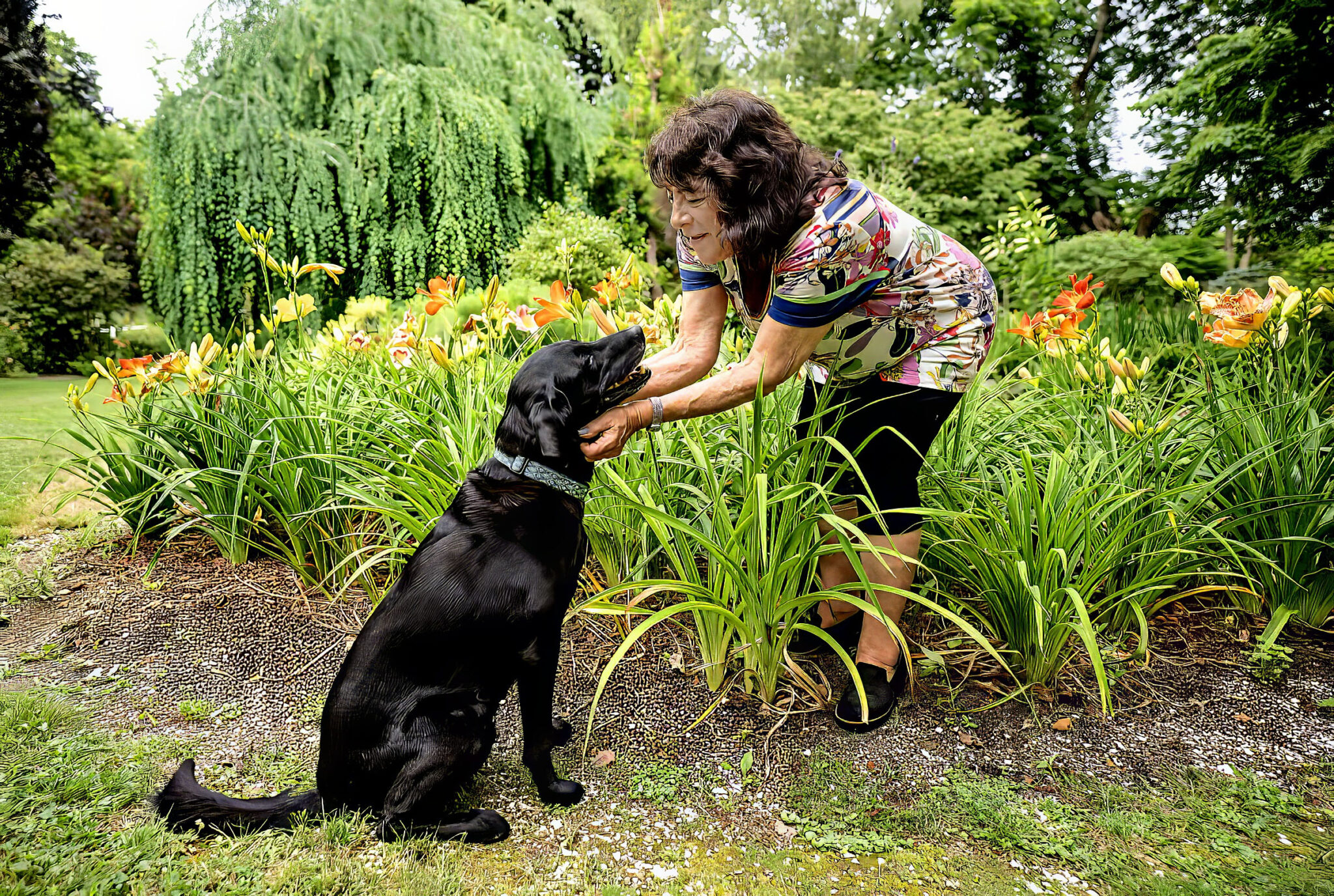 Woman reaching her hands out to her black lab while standing in her garden