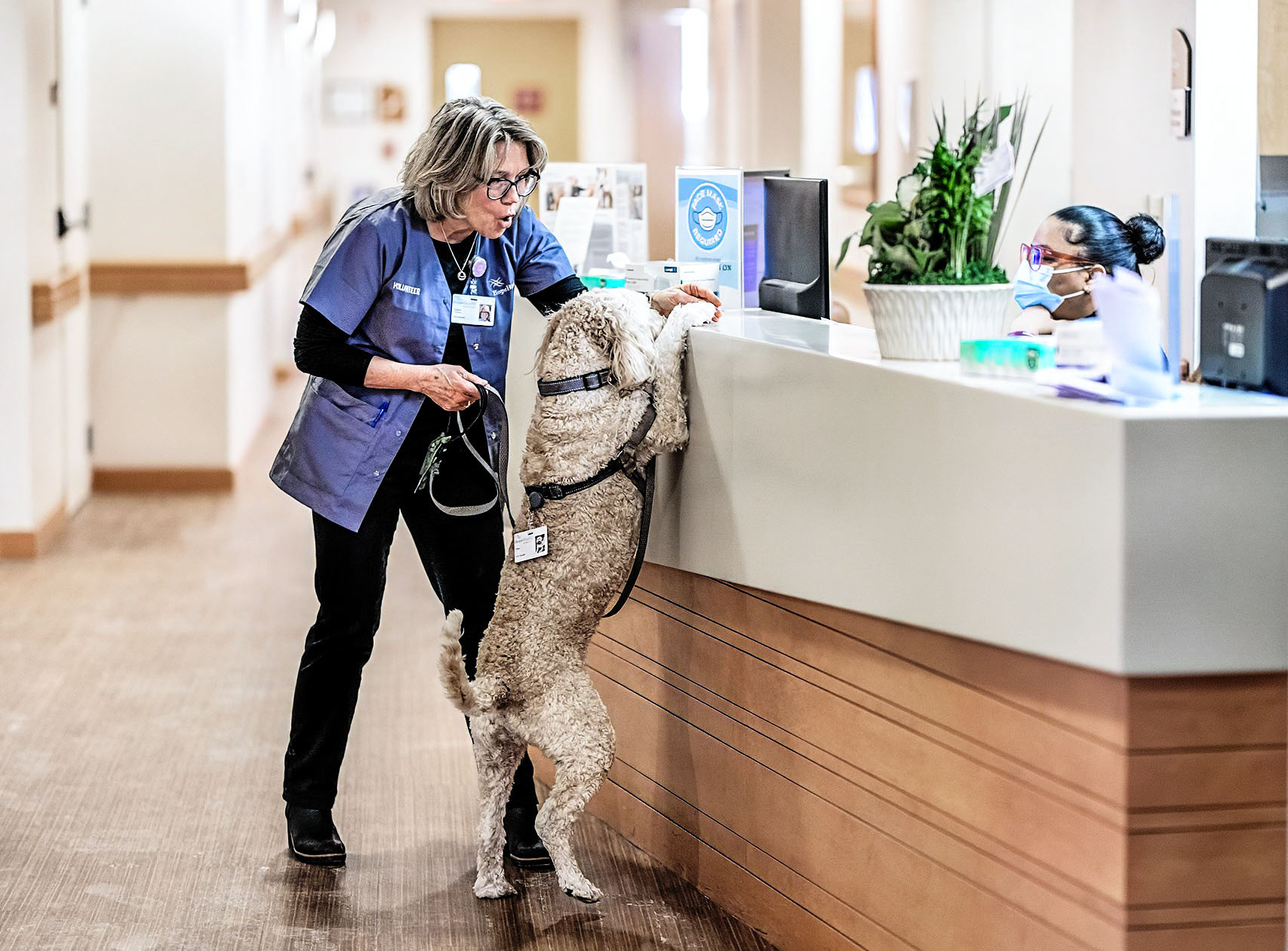 A pet therapy volunteer team visits the nurses station; the dog puts its paws up on the counter