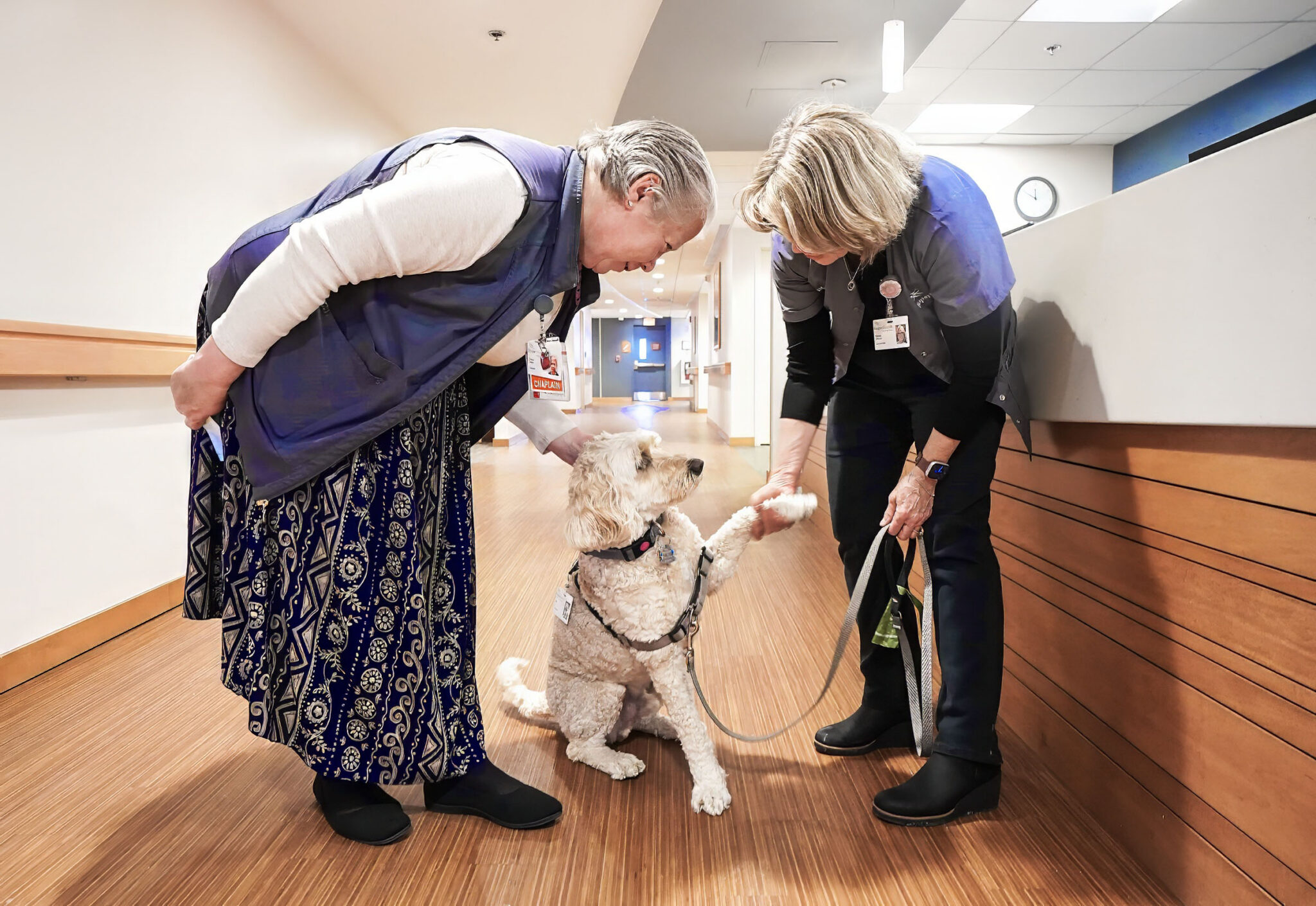 Pet therapy dog visiting a hospice center, with his owner Eileen holding his paw and a chaplain petting his head