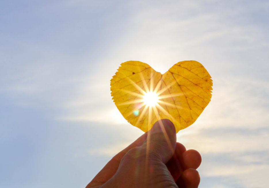 Close up shot of hand holding yellow leaf of heart shape with sun rays shining through it at light blue sky background. I love autumn concept. Copy space Close up shot of hand holding yellow leaf of heart shape with sun rays shining through it at light blue sky background. I love autumn concept.