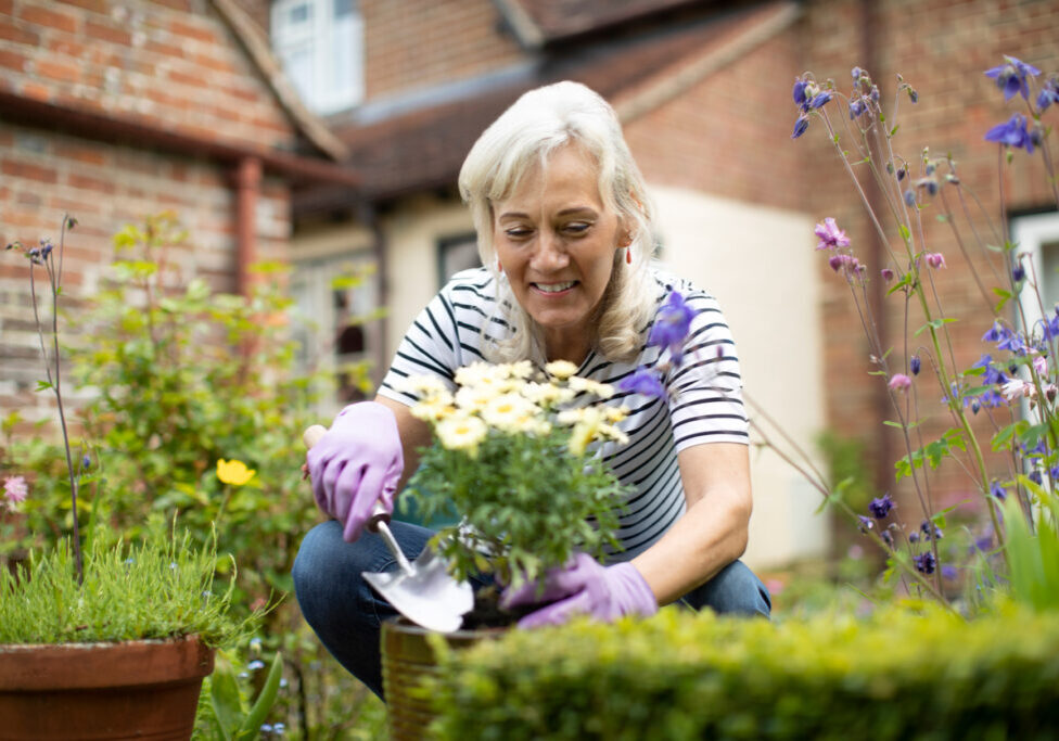 Senior Woman Potting Plant In Garden At Home