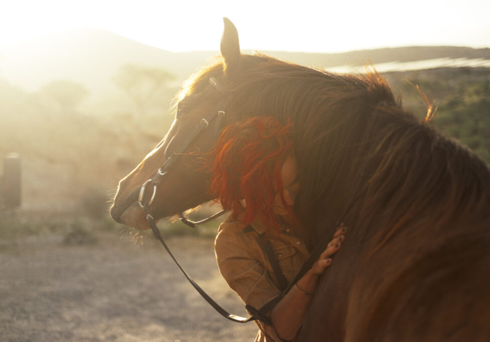 Love horse animal pet therapy red hair young pretty woman hug with affection her best friend - sunset sunlight in backlight - outdoor leisure activity and friendship concept