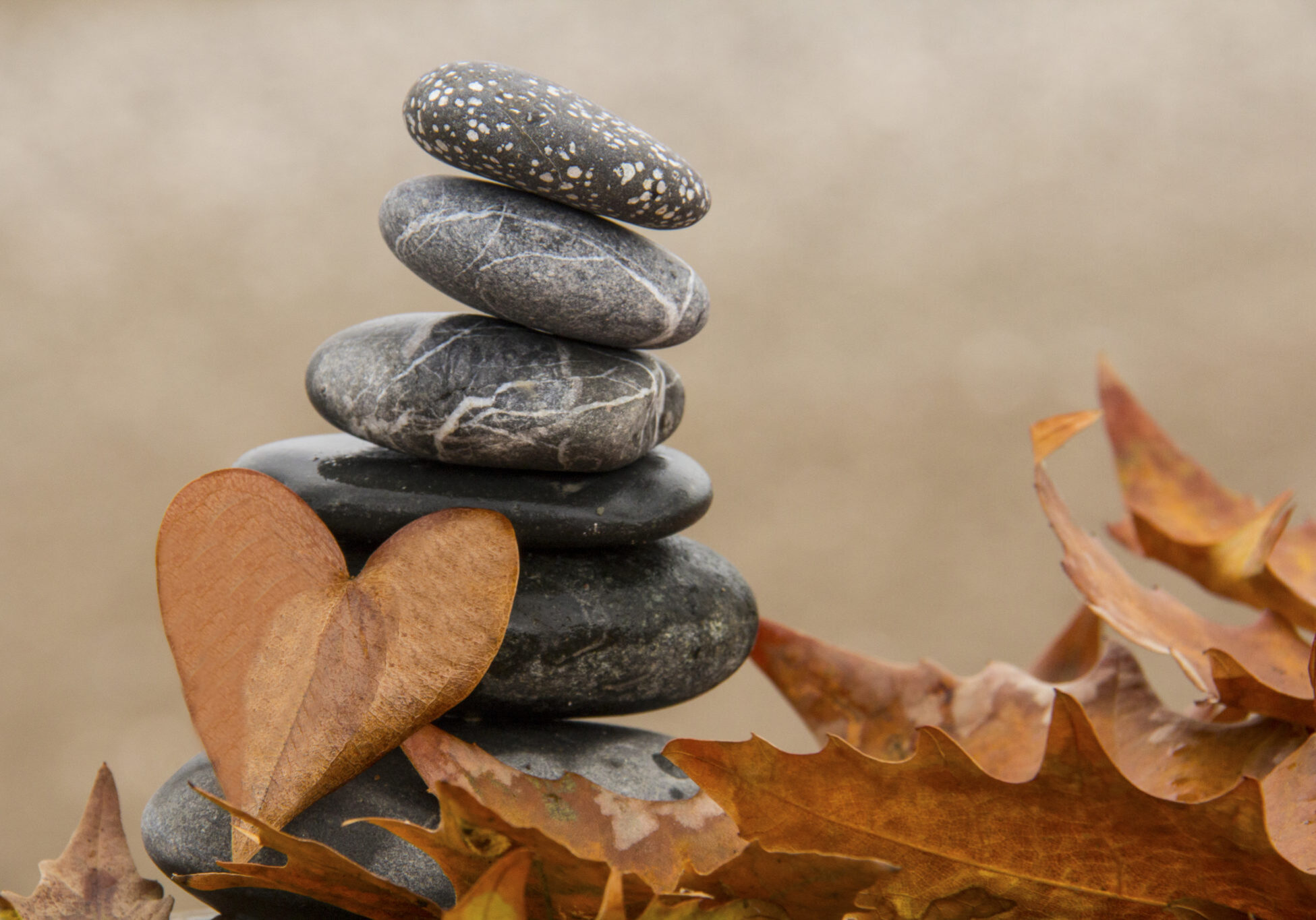 Heart Shape, Pebble, Stone - Object, Rock - Object, Backgrounds, Magnifier, autumn