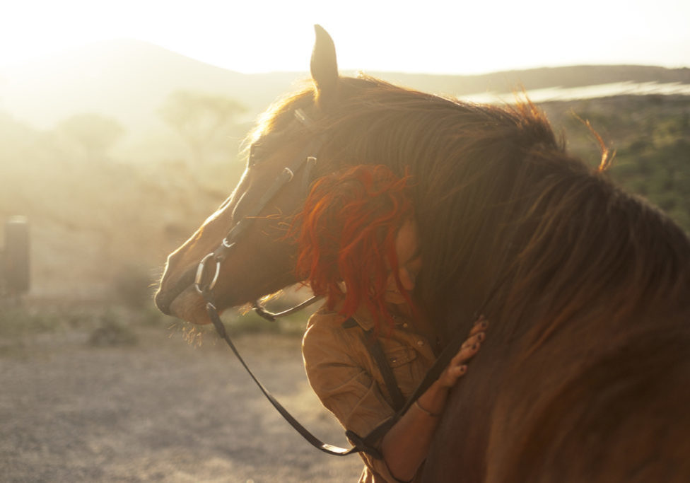 Love horse animal pet therapy red hair young pretty woman hug with affection her best friend - sunset sunlight in backlight - outdoor leisure activity and friendship concept Love horse animal pet therapy red hair young pretty woman hug with affection her best friend - sunset sunlight in backlight - outdoor leisure activity and friendship concept