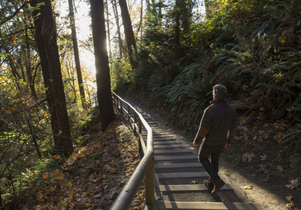 Man walks down steps through forest and into the sunlight Man walks down steps through forest and into the sunlight, coping with grief and loss